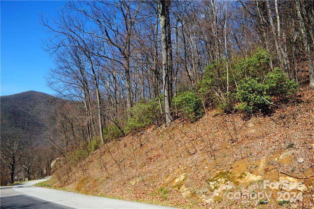 Property image 2 at 35 Wedgewood Terrace, Black Mountain, NC 28711