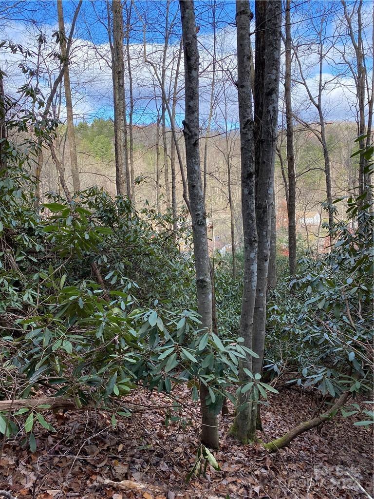 Property image 2 at Lot 50 51 Wood Duck Court, Brevard, NC 28712