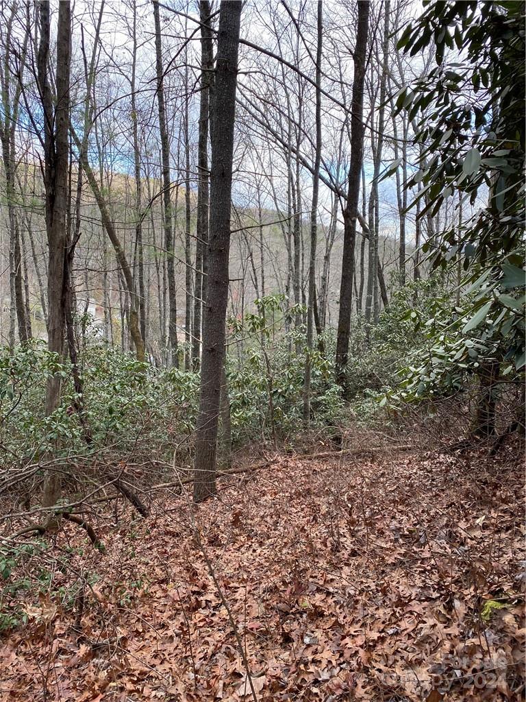 Property image 4 at Lot 50 51 Wood Duck Court, Brevard, NC 28712