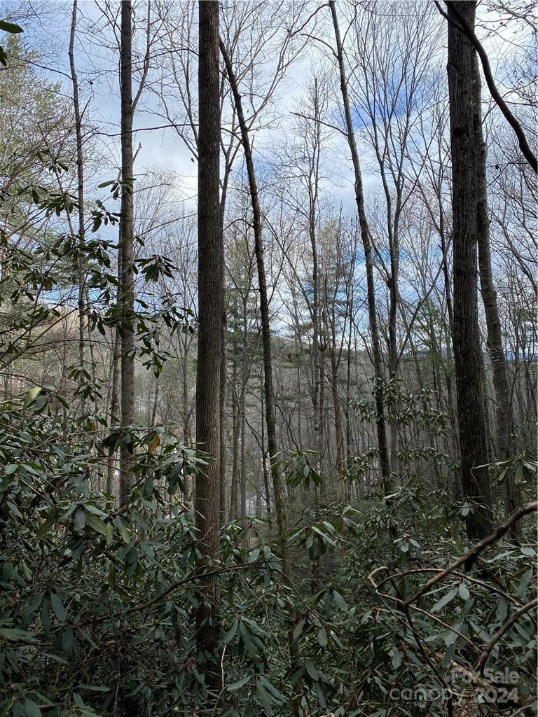 Property image 5 at Lot 50 51 Wood Duck Court, Brevard, NC 28712