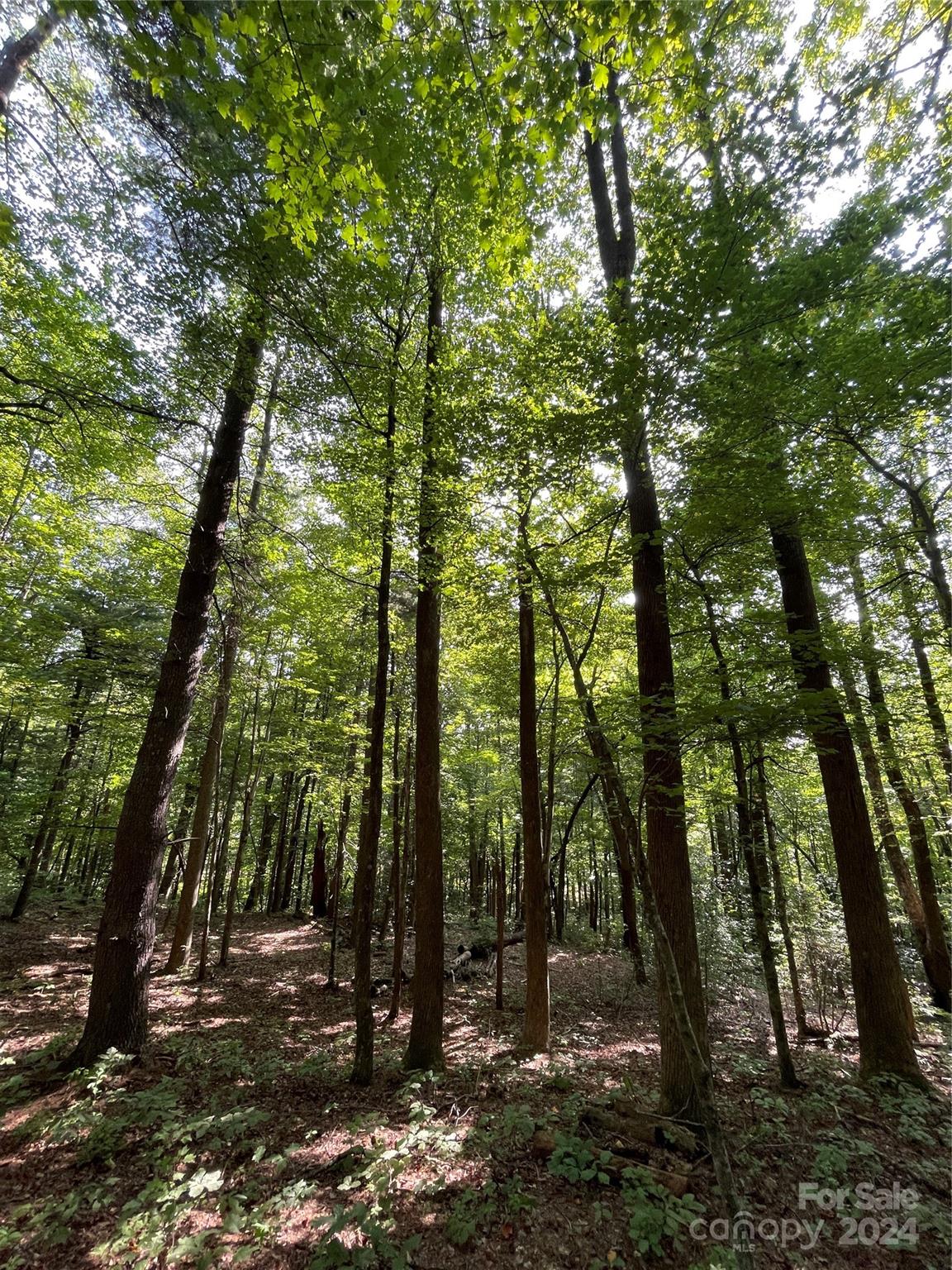Property image 2 at Lot 20 Haverhill Court, Flat Rock, NC 28731