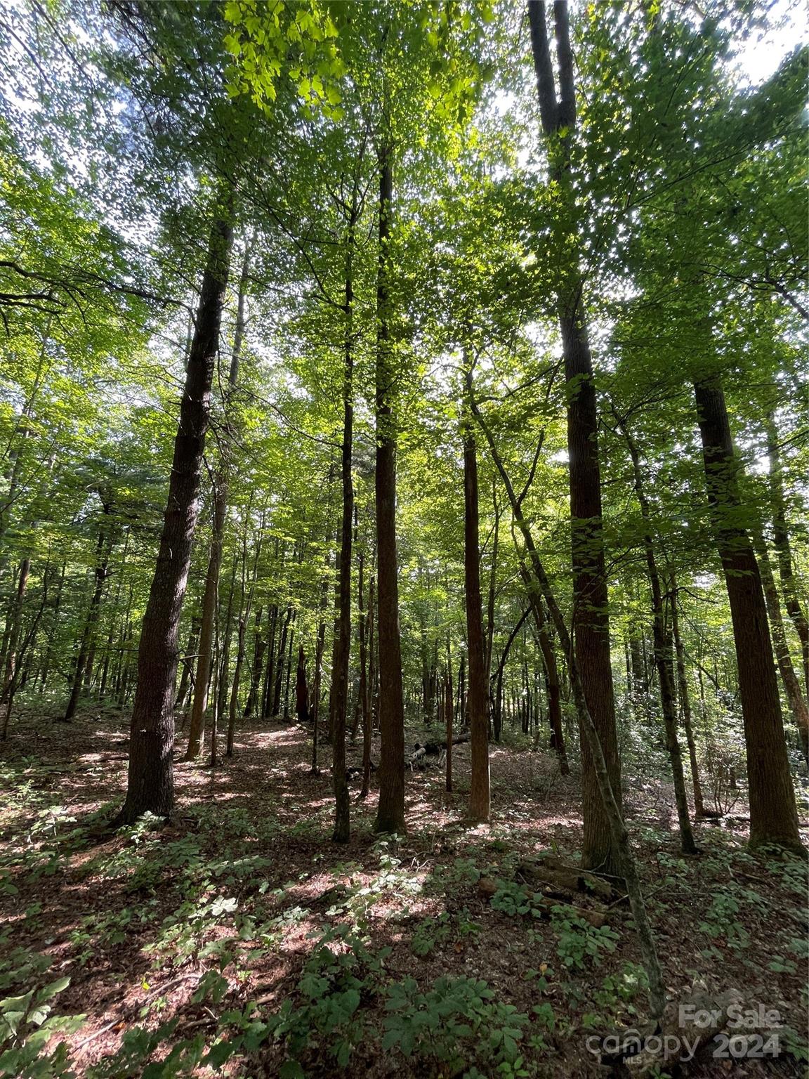 Property image 3 at Lot 20 Haverhill Court, Flat Rock, NC 28731