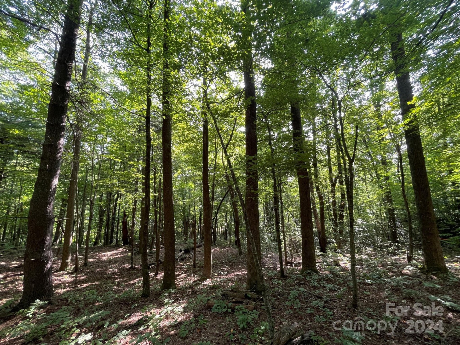 Property image 4 at Lot 20 Haverhill Court, Flat Rock, NC 28731