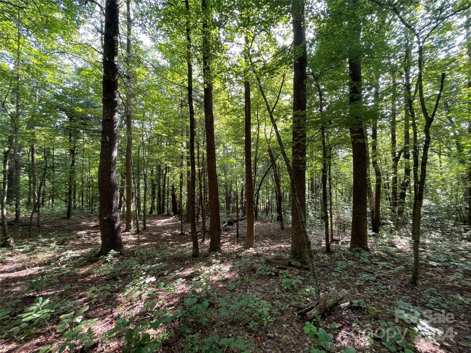 Property image 5 at Lot 20 Haverhill Court, Flat Rock, NC 28731