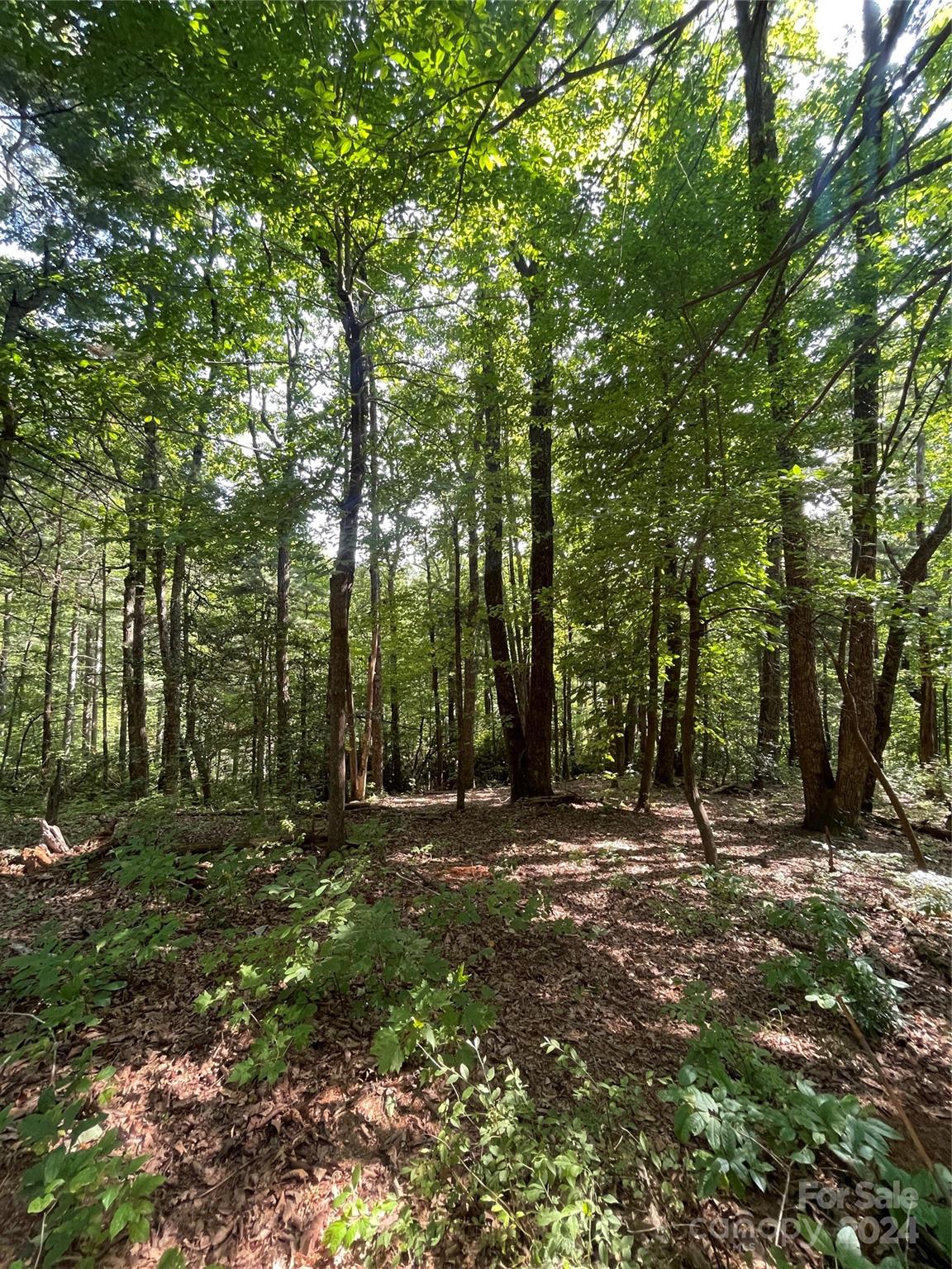 Lot 21 Haverhill Court