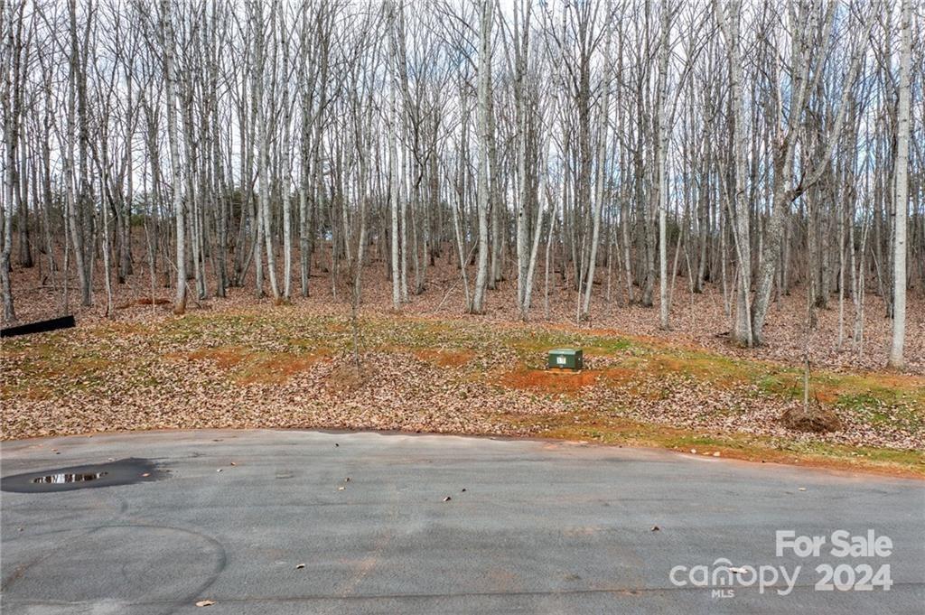 Property image 1 at Lot 10 Brancer Lane, Lincolnton, NC 28092