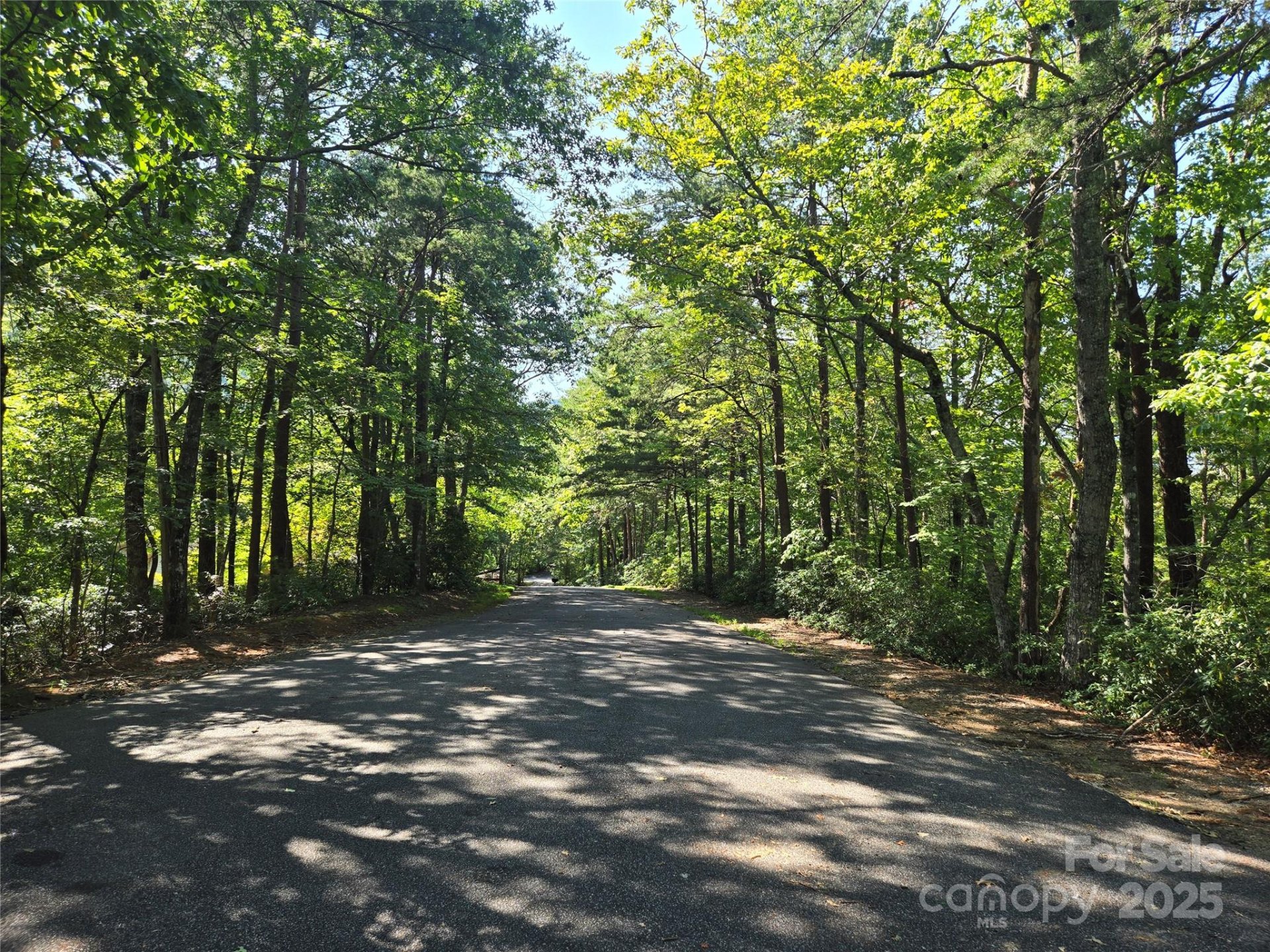 Property image 3 at Lot 152 Sullivan Lane, Lake Lure, NC 28746