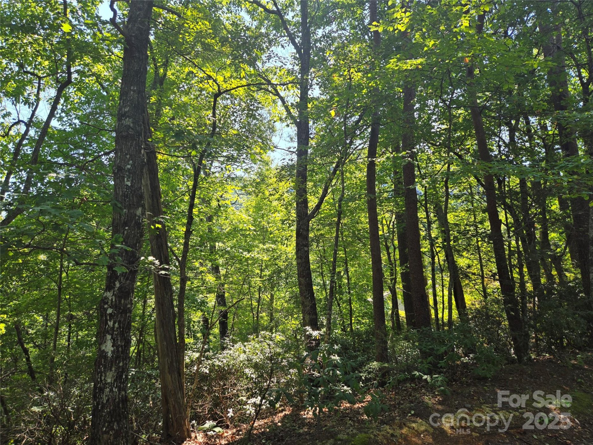 Property image 4 at Lot 152 Sullivan Lane, Lake Lure, NC 28746