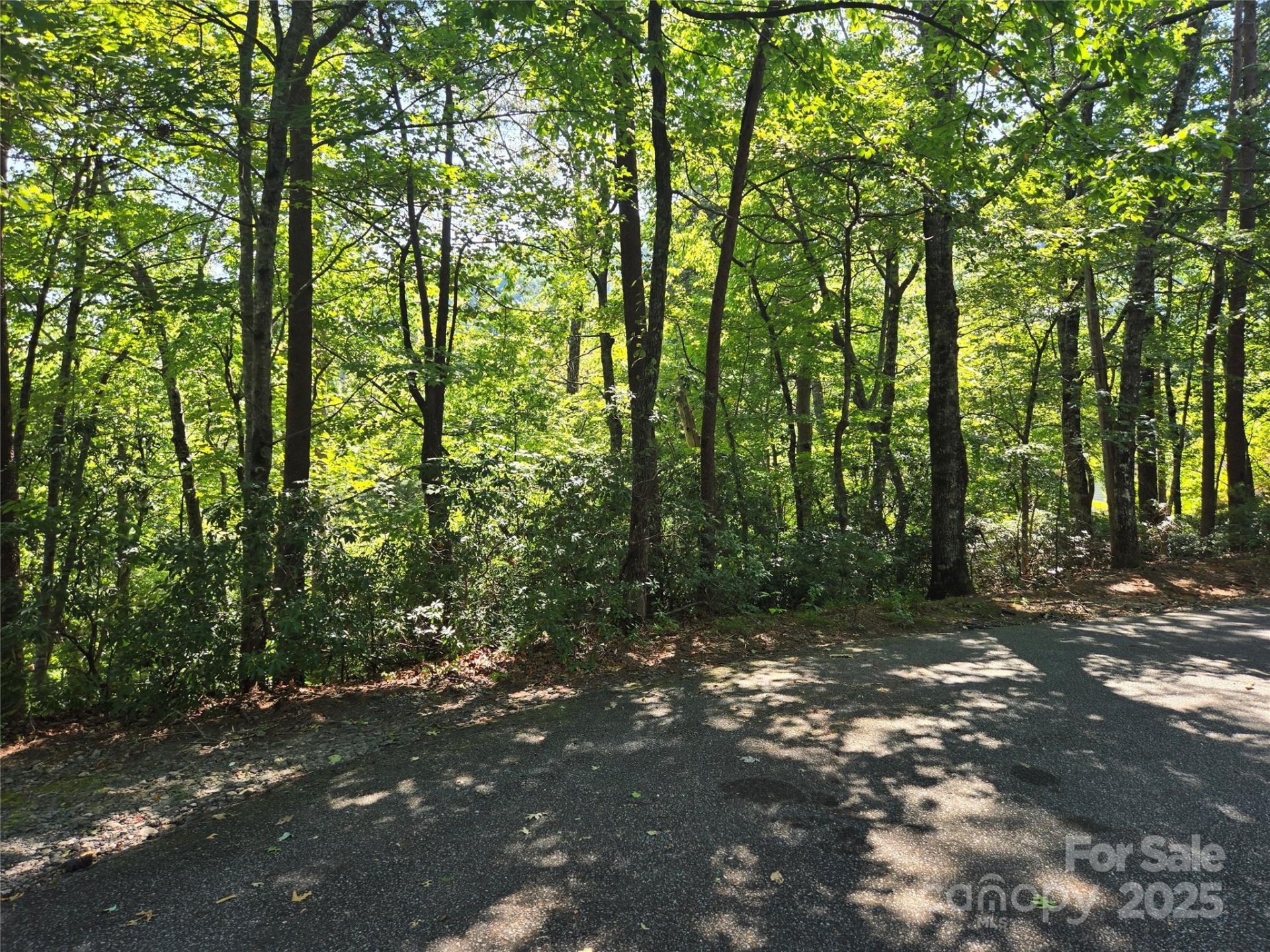 Property image 5 at Lot 152 Sullivan Lane, Lake Lure, NC 28746