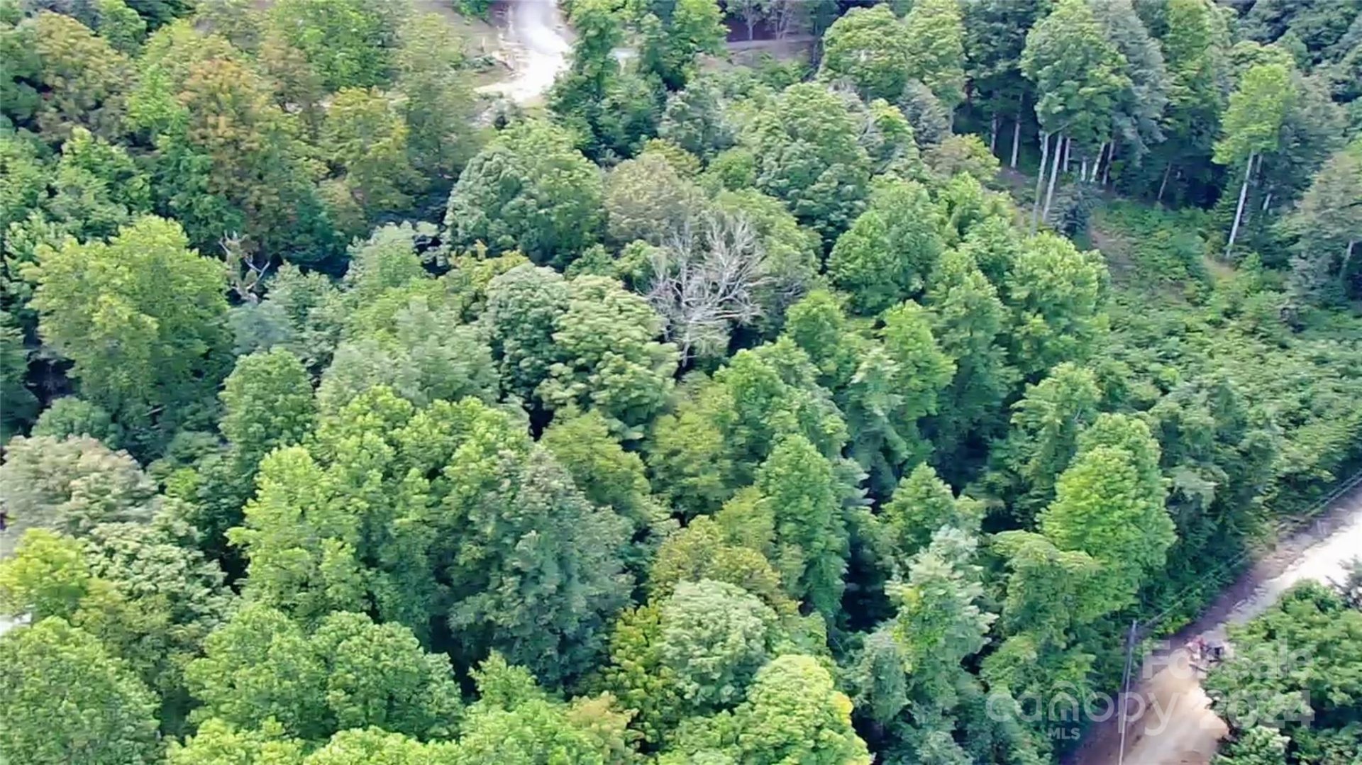 Property image 4 at Lot 515 Curry Comb Trail, Waynesville, NC 28785