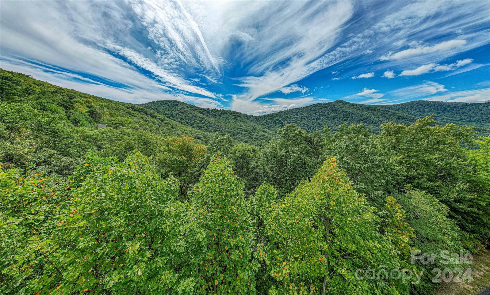 Property image 4 at 579 Bluemist Way, Arden, NC 28704