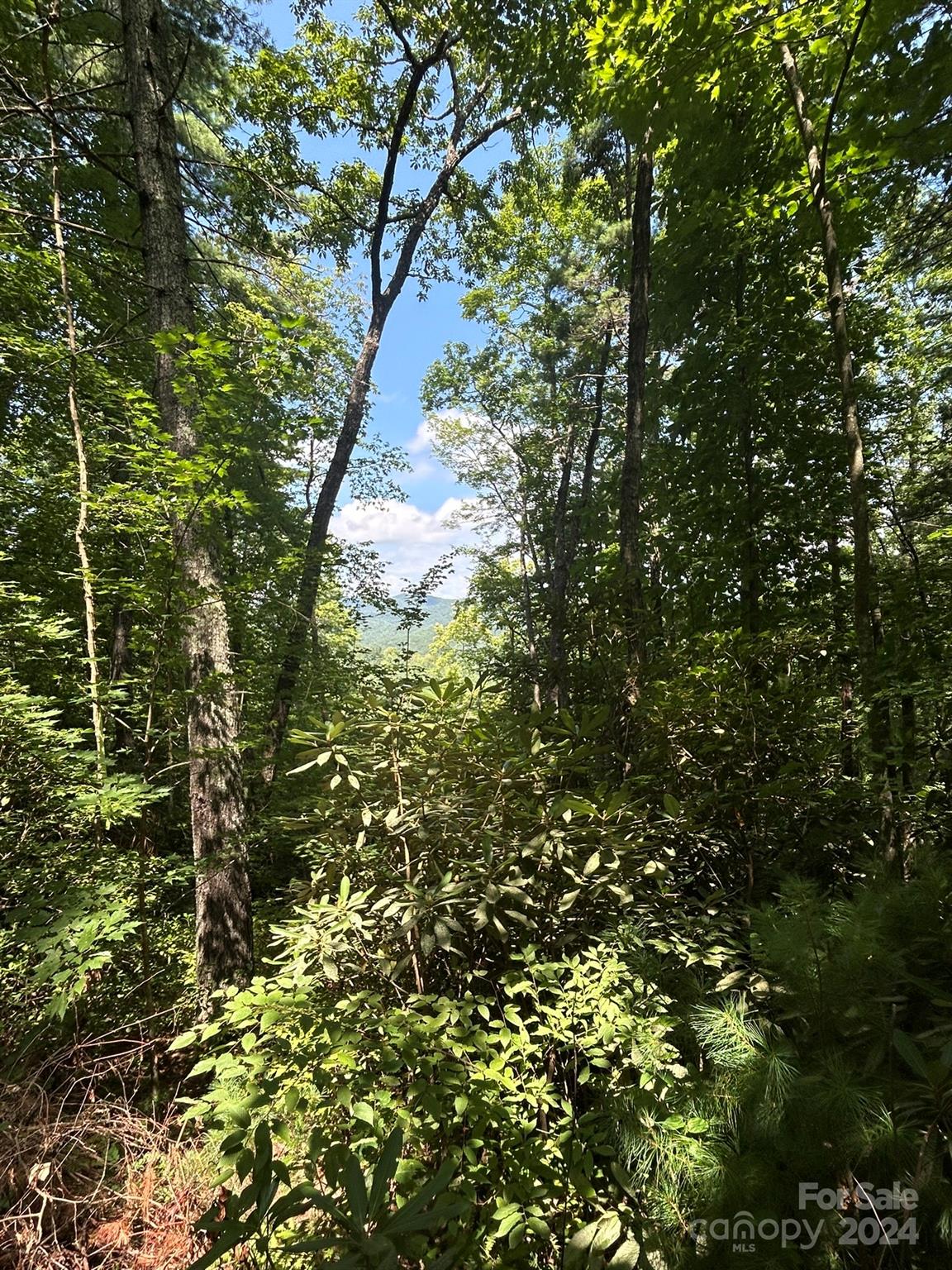 Property at Tbd W Birch Lane, Brevard, NC 28712