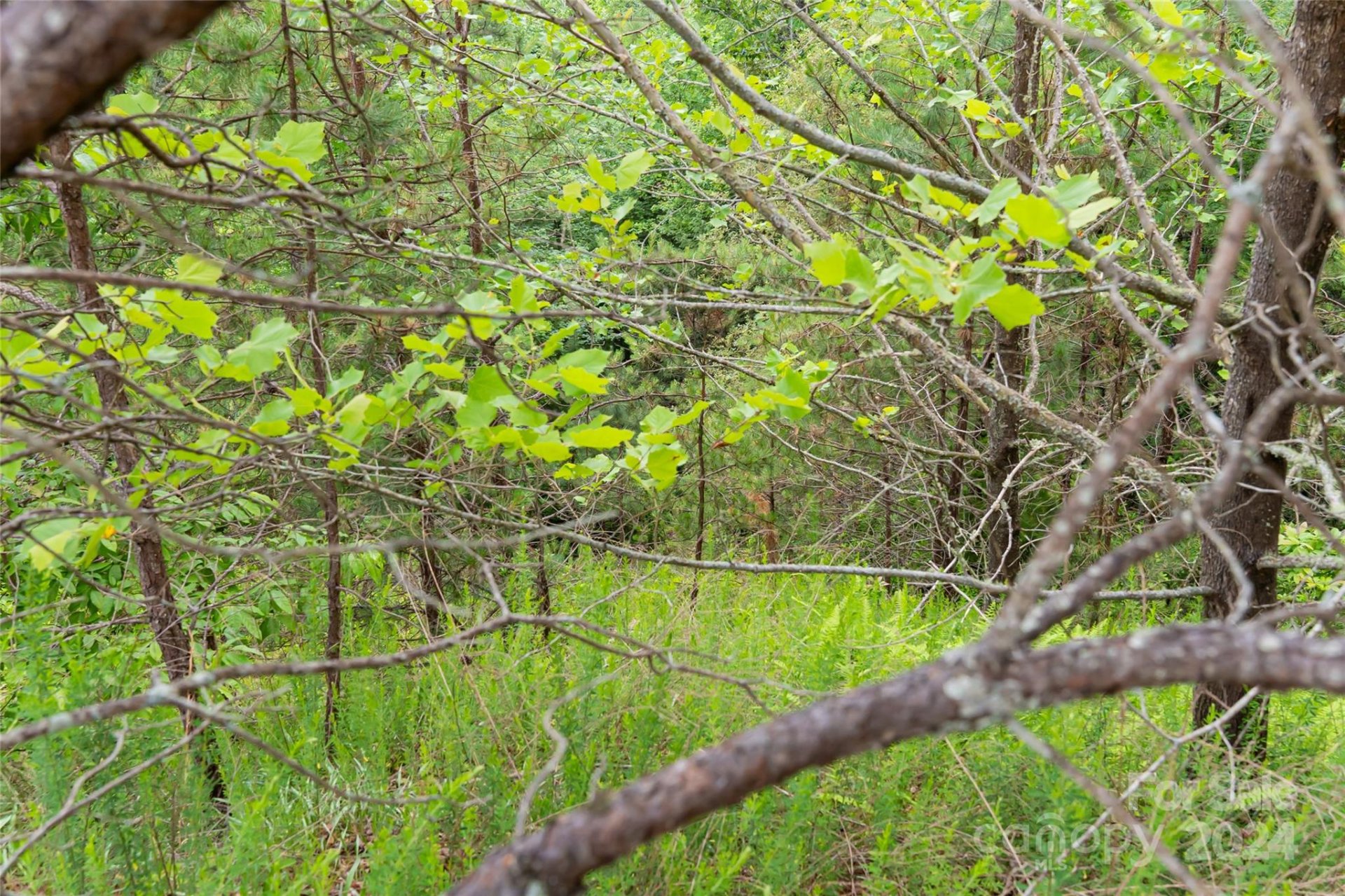 Property image 3 at 508 Stonefly Drive, Horse Shoe, NC 28742