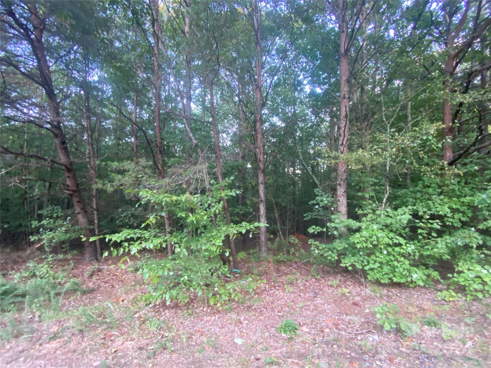 Property image 4 at 1301 Shadowfax Wynd None, Hickory, NC 28602