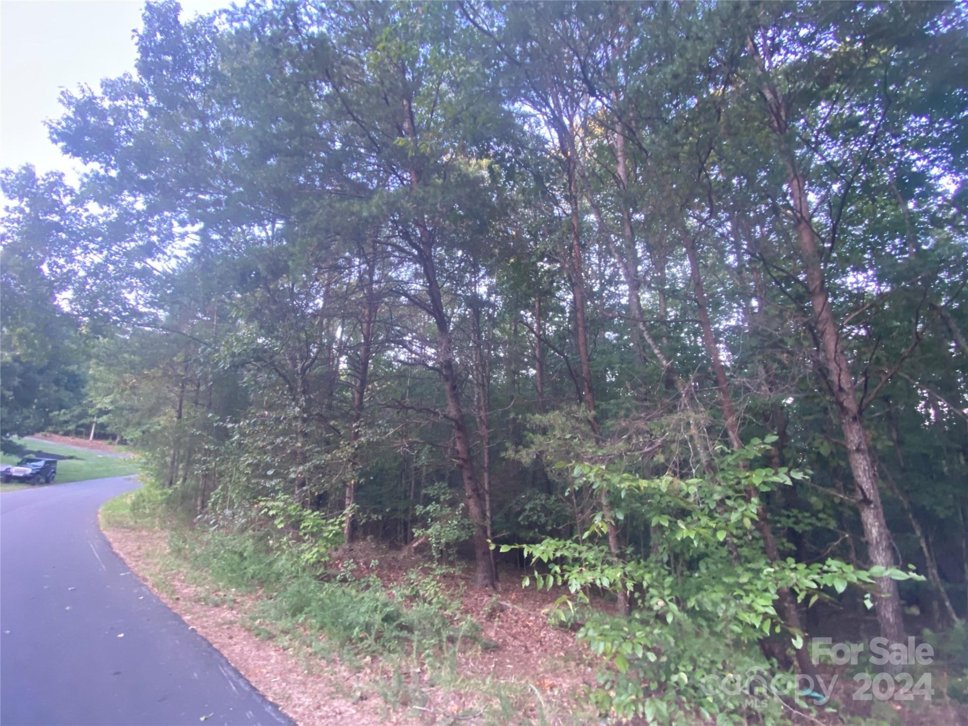 Property image 5 at 1301 Shadowfax Wynd None, Hickory, NC 28602