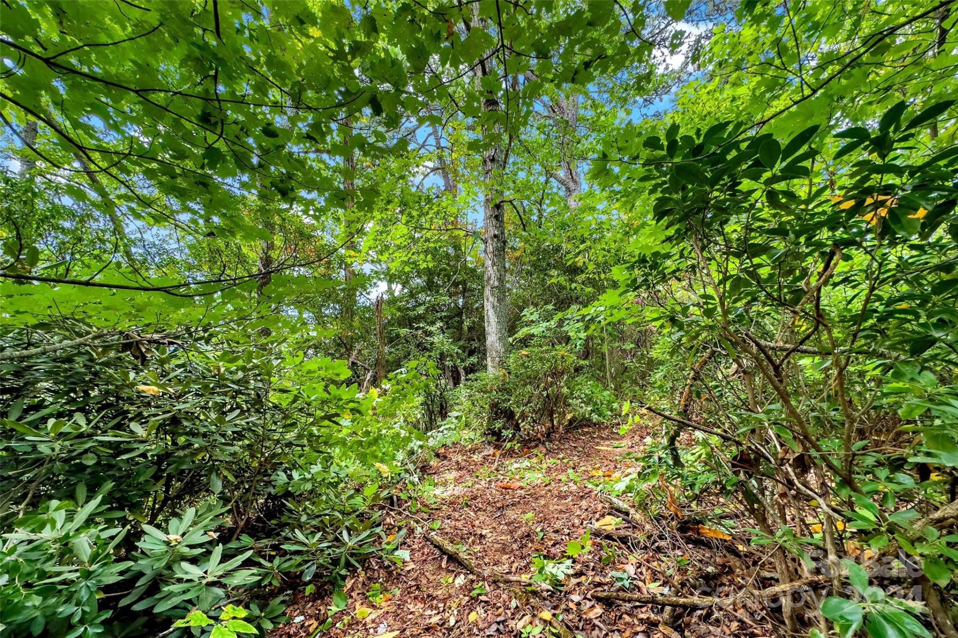 Property image 5 at 83 Rock Drive, Old Fort, NC 28762