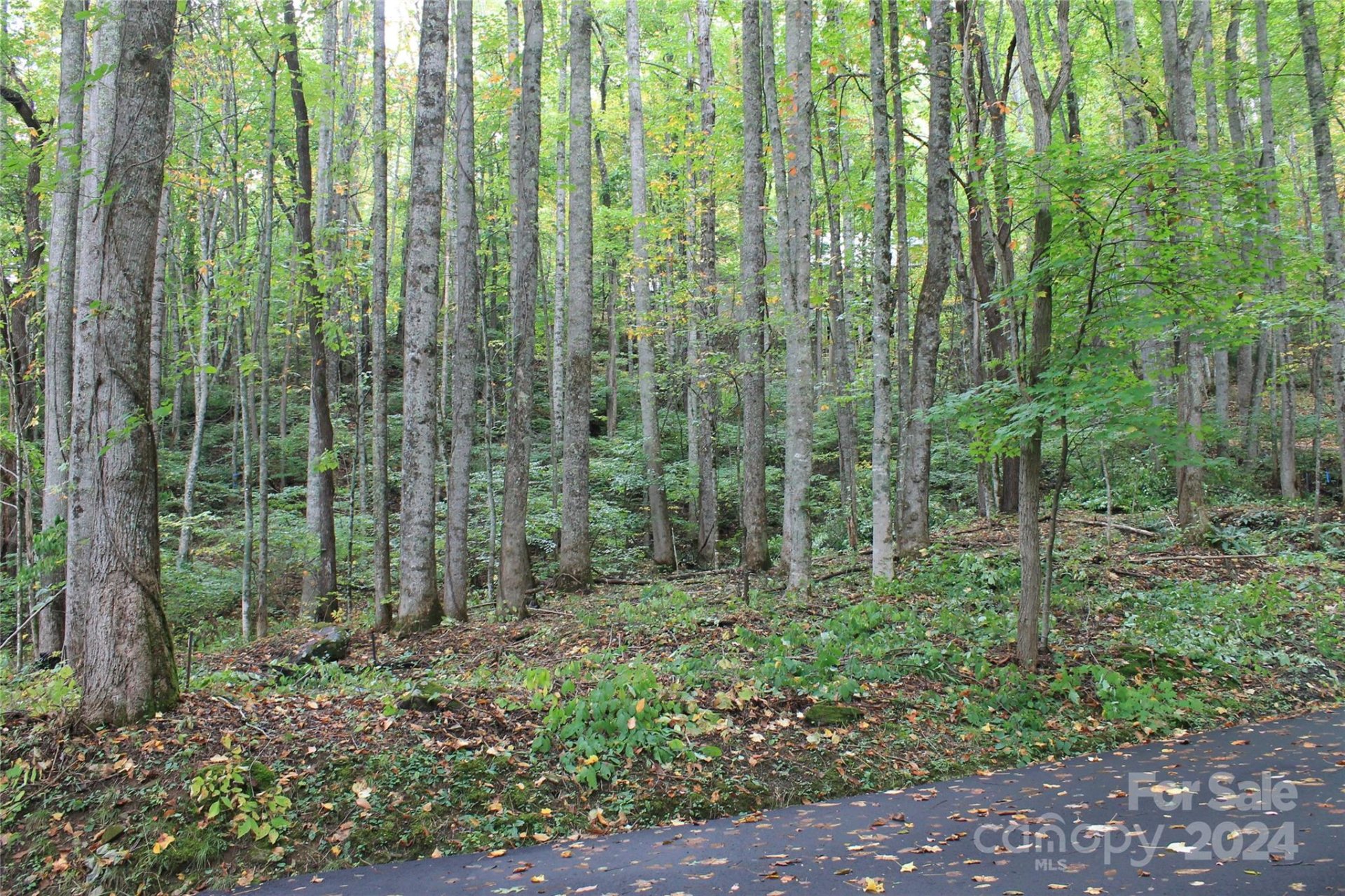 Property image 3 at 21 Club Crest Road, Maggie Valley, NC 28751
