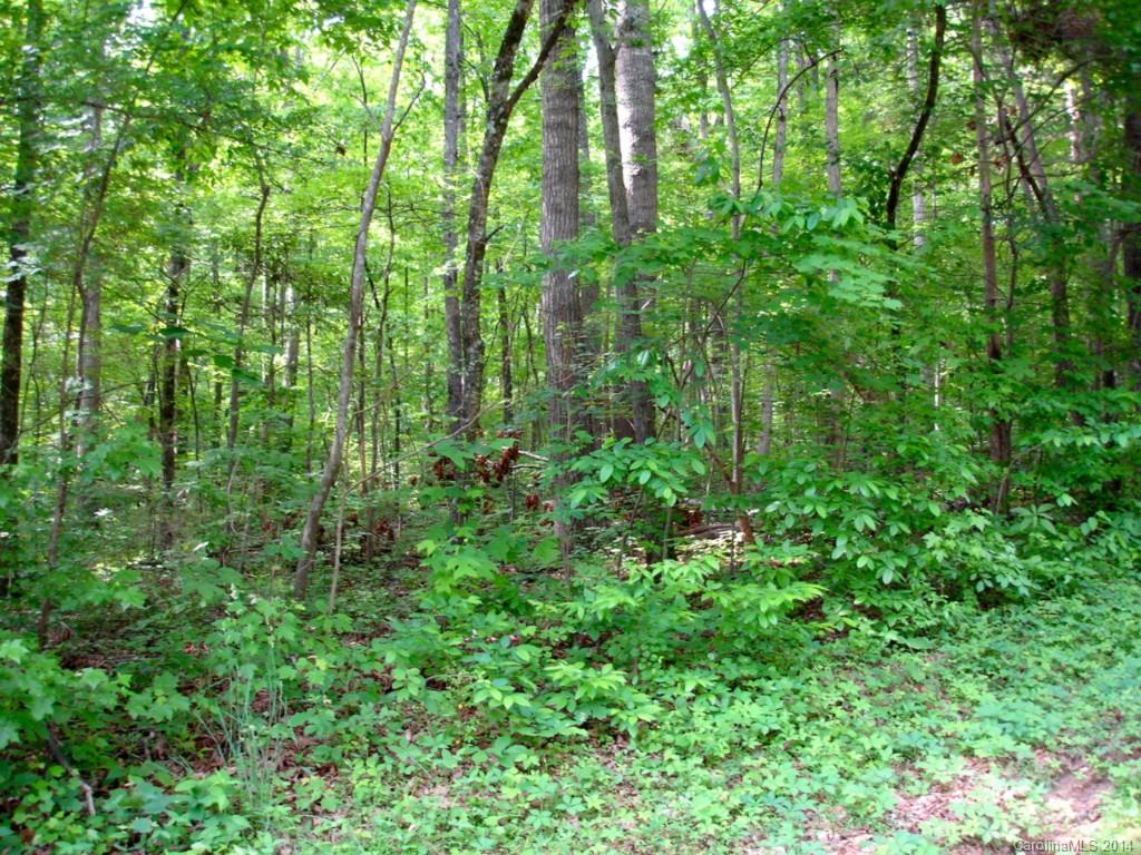 Lot 4 River Run Road