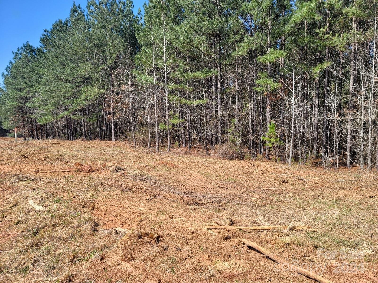 Property image 5 at 000 Waterside Point, Abbeville, SC 29620