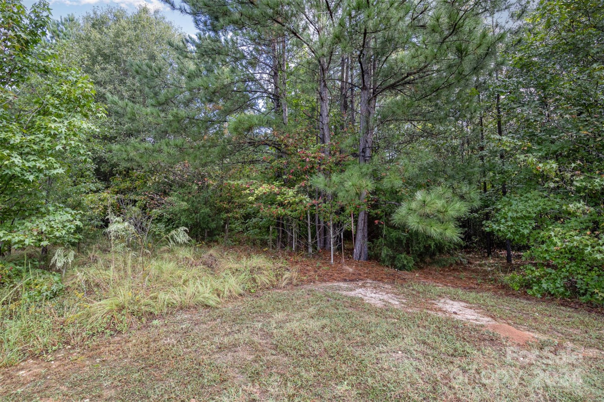 Property image 5 at 1863 White Fawn Lane, Rock Hill, SC 29730