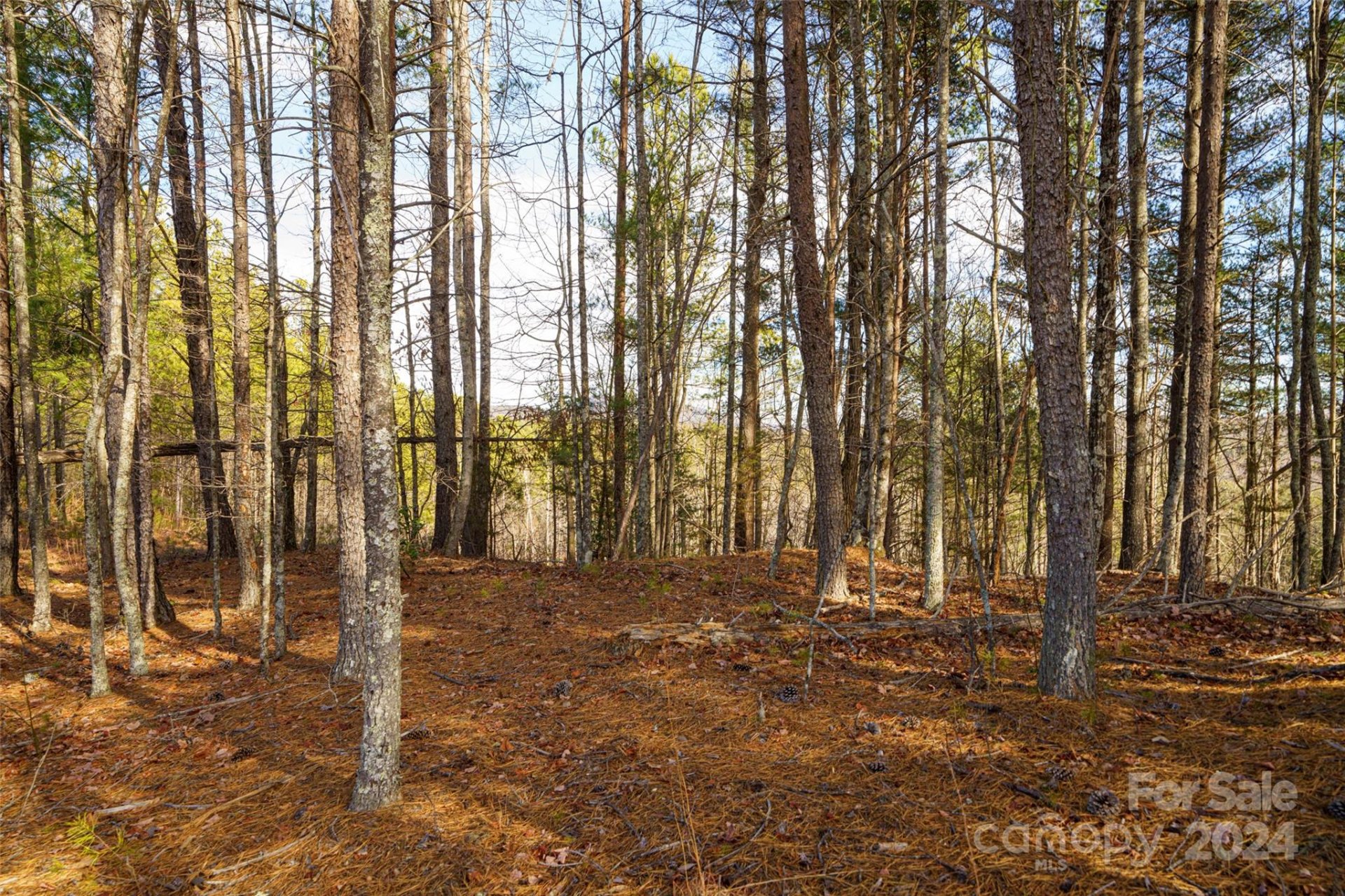 Property image 4 at 1504 Pisgah Preserve Road, Nebo, NC 28761