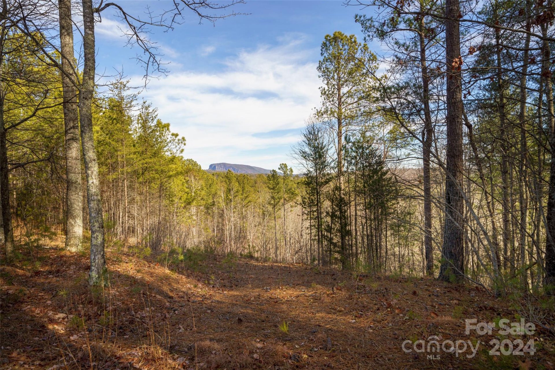 Property image 5 at 1504 Pisgah Preserve Road, Nebo, NC 28761