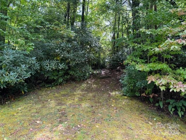 Property image 3 at 000 Gateway Drive, Hendersonville, NC 28739