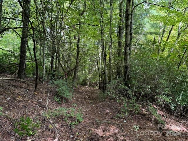 Property image 5 at 000 Gateway Drive, Hendersonville, NC 28739