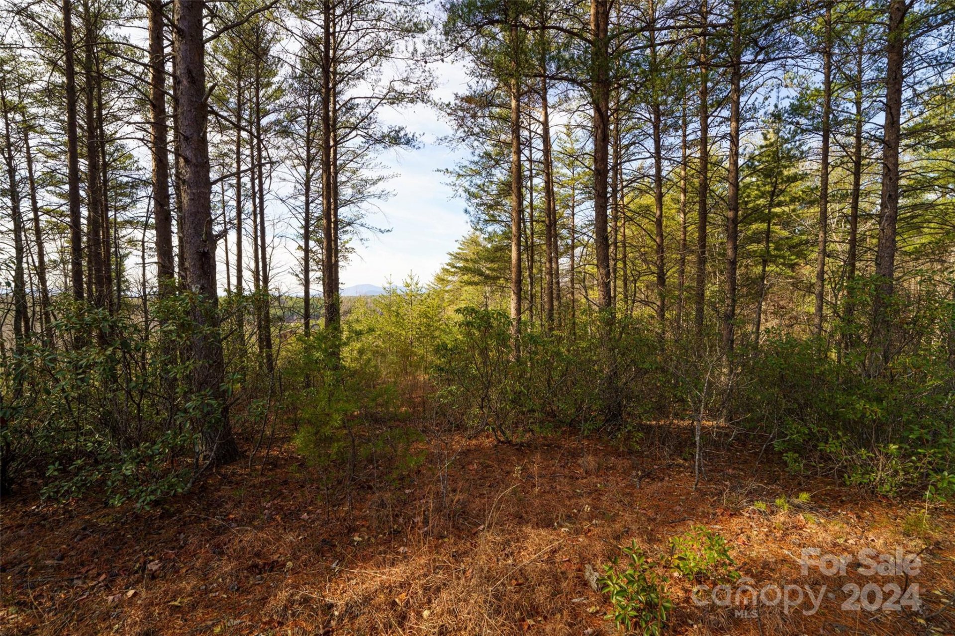 Property image 3 at 1690 Pisgah Preserve Drive, Nebo, NC 28761