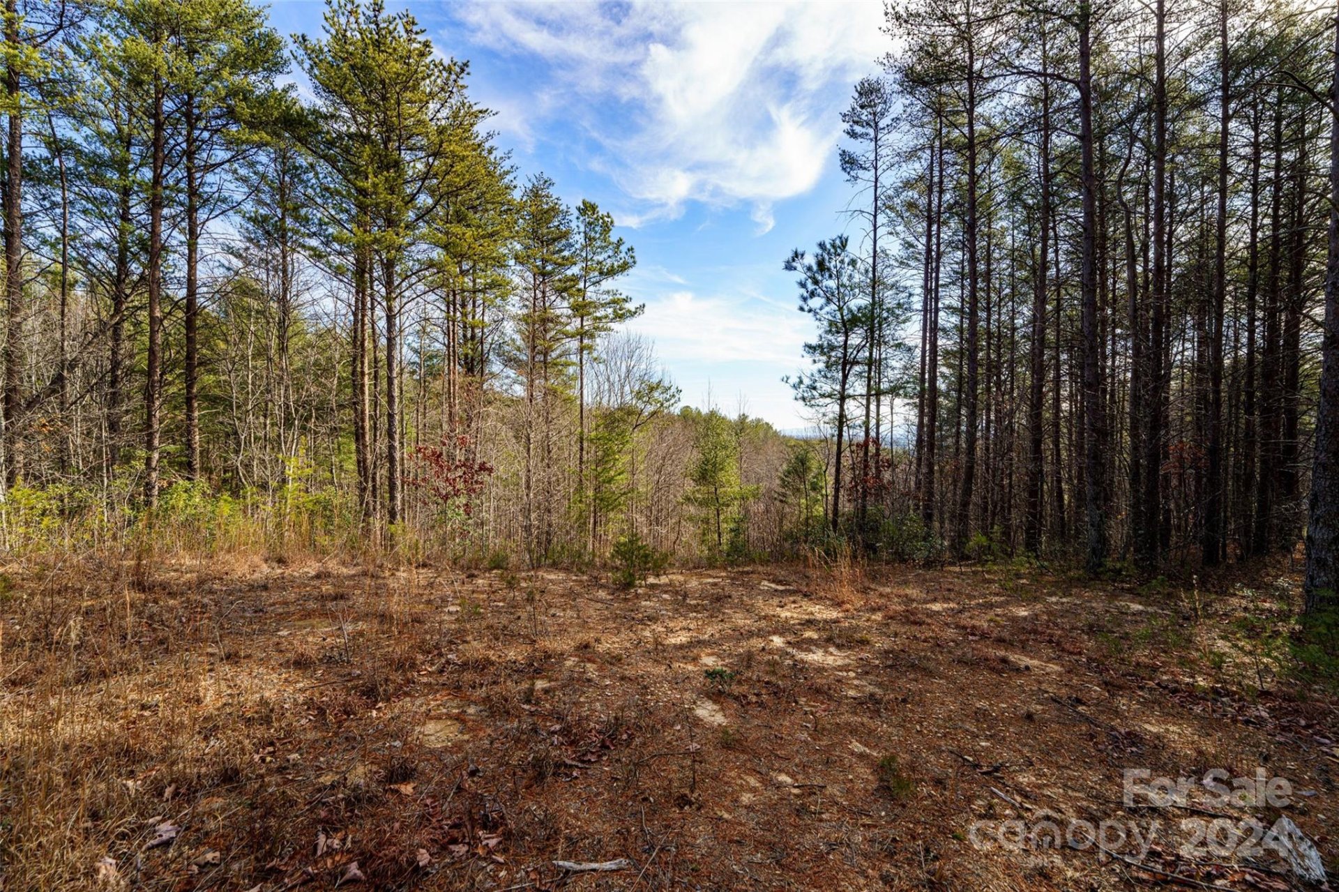 Property image 4 at 1690 Pisgah Preserve Drive, Nebo, NC 28761