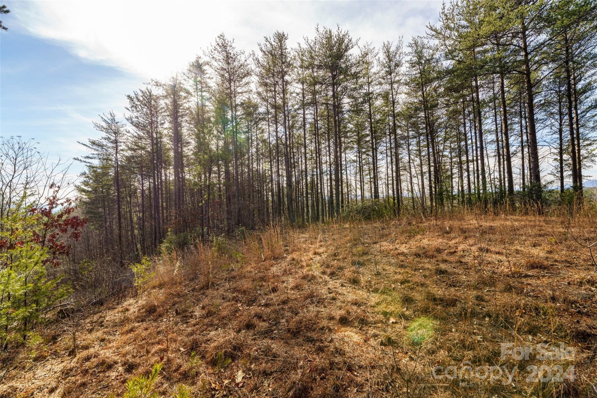 Property image 5 at 1690 Pisgah Preserve Drive, Nebo, NC 28761