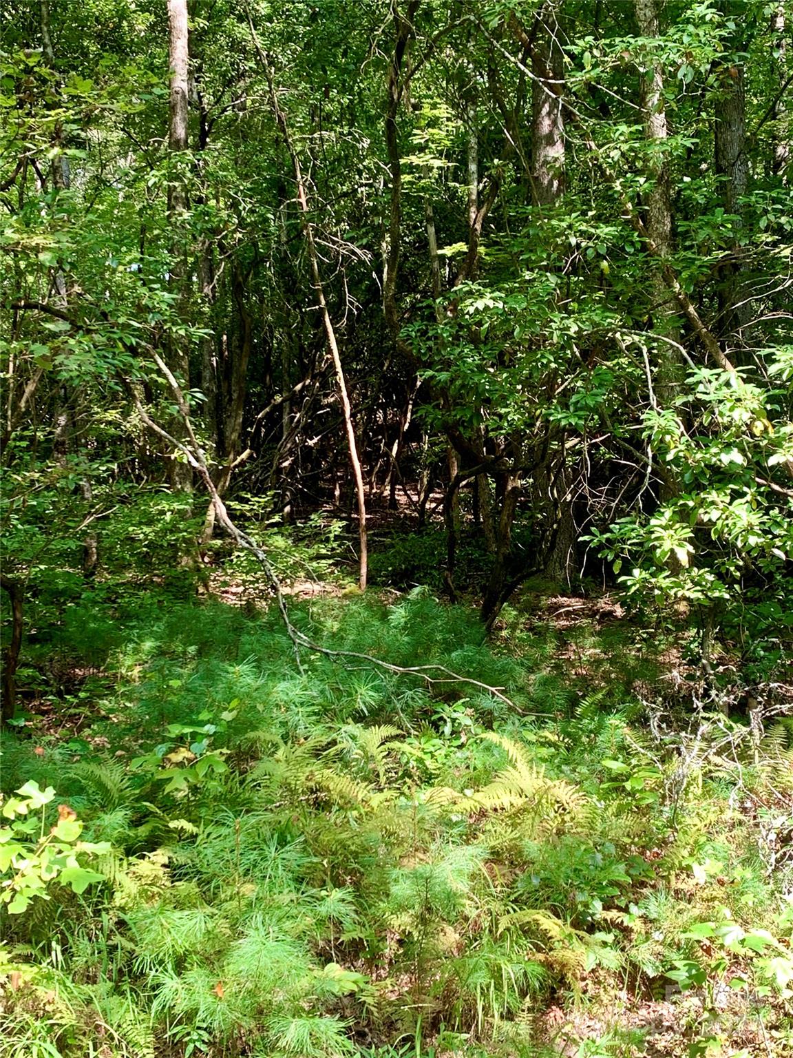 Property image 3 at Tbd Double Creek Drive, Brevard, NC 28712