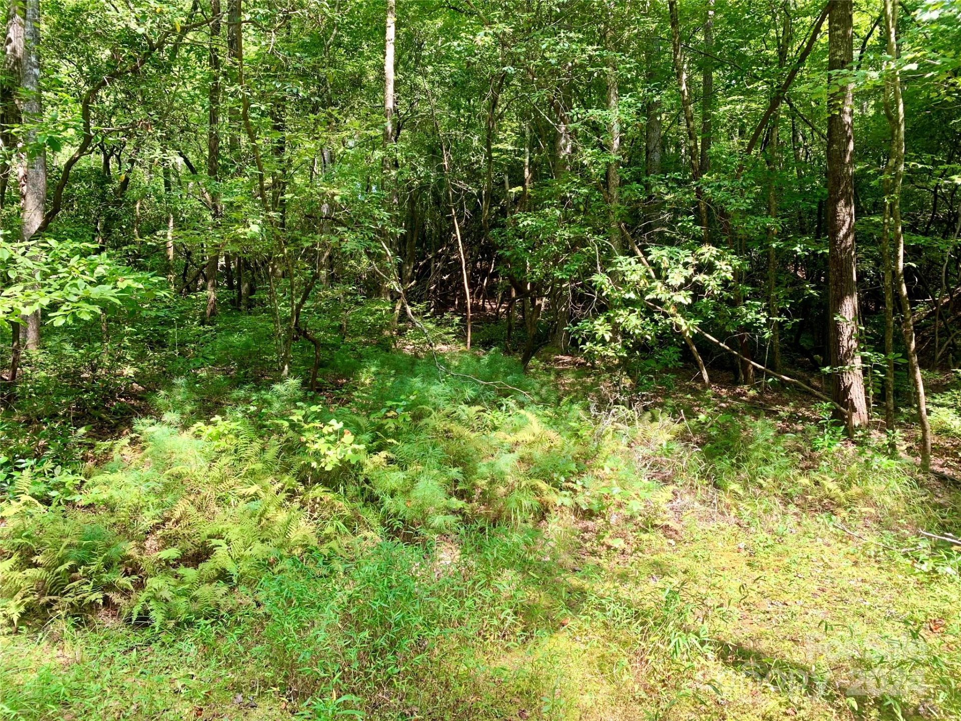 Property image 4 at Tbd Double Creek Drive, Brevard, NC 28712