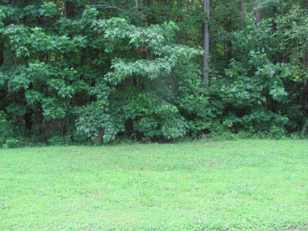 Property image 1 at N A Sweeping Pine Drive, Denver, NC 28037