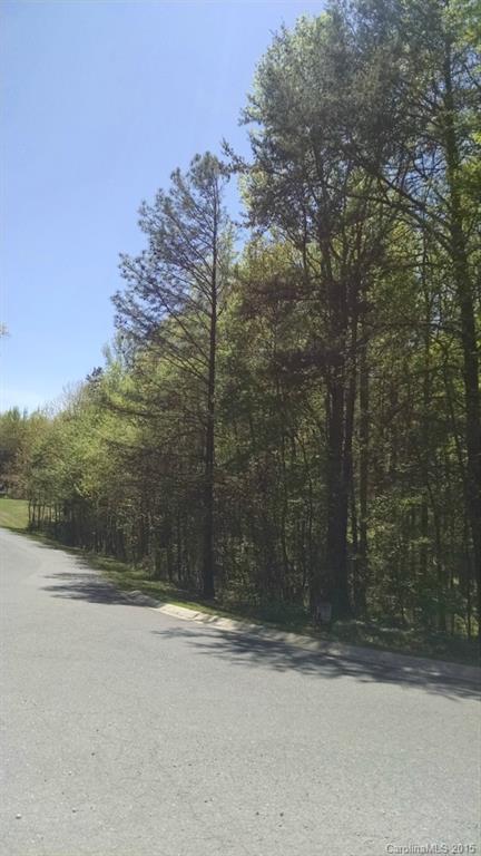 Property image 1 at 000 Stirrup Court, Weddington, NC 28104