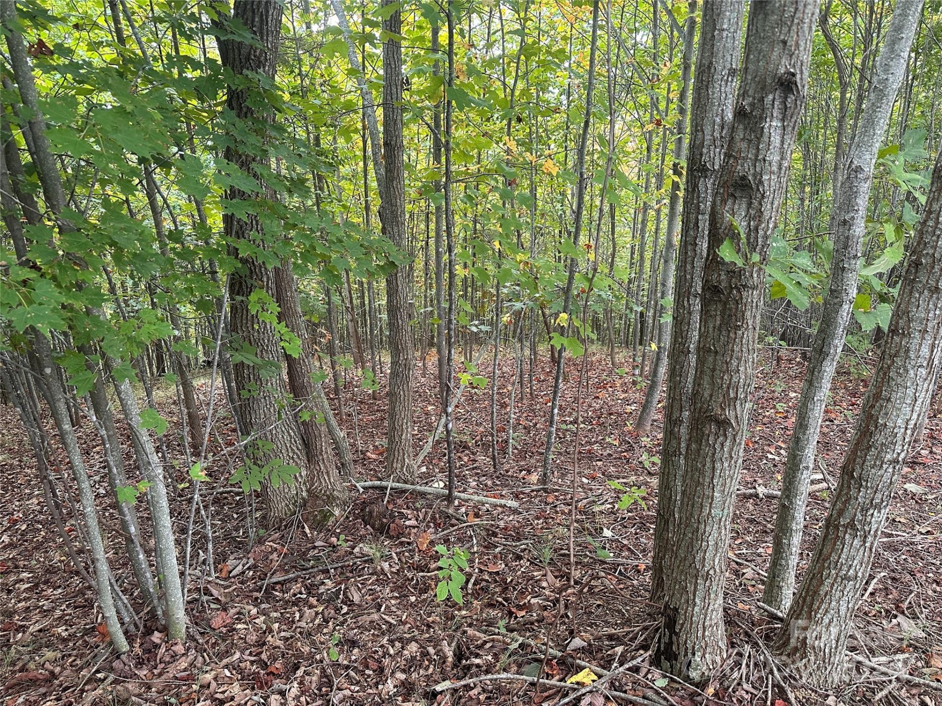 Property at 311 Scenic Vista Drive, Nebo, NC 28761