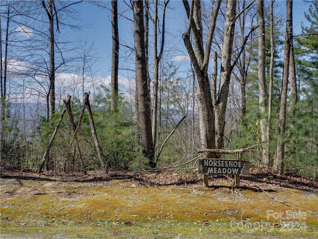 Property image 2 at 8b Reserve Road, Pisgah Forest, NC 28768