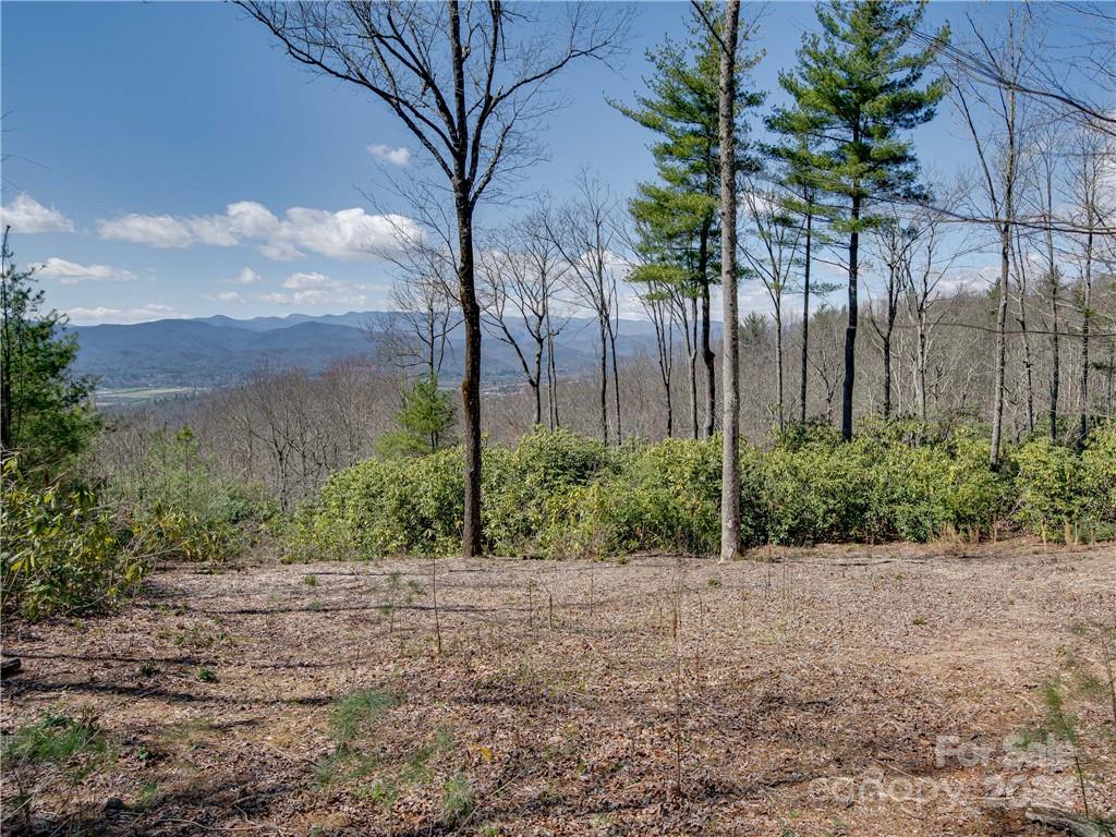 Property image 3 at 8b Reserve Road, Pisgah Forest, NC 28768