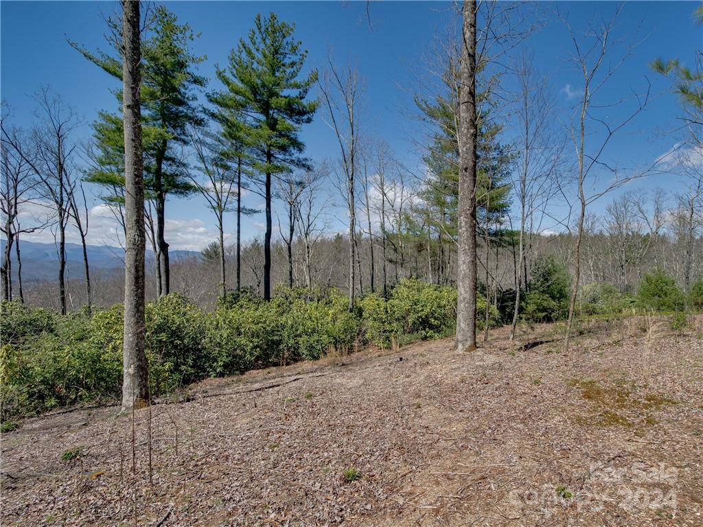 Property image 4 at 8b Reserve Road, Pisgah Forest, NC 28768