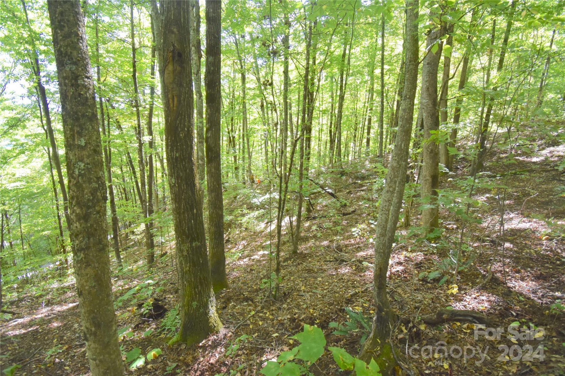 0 Chimney Ridge Trail