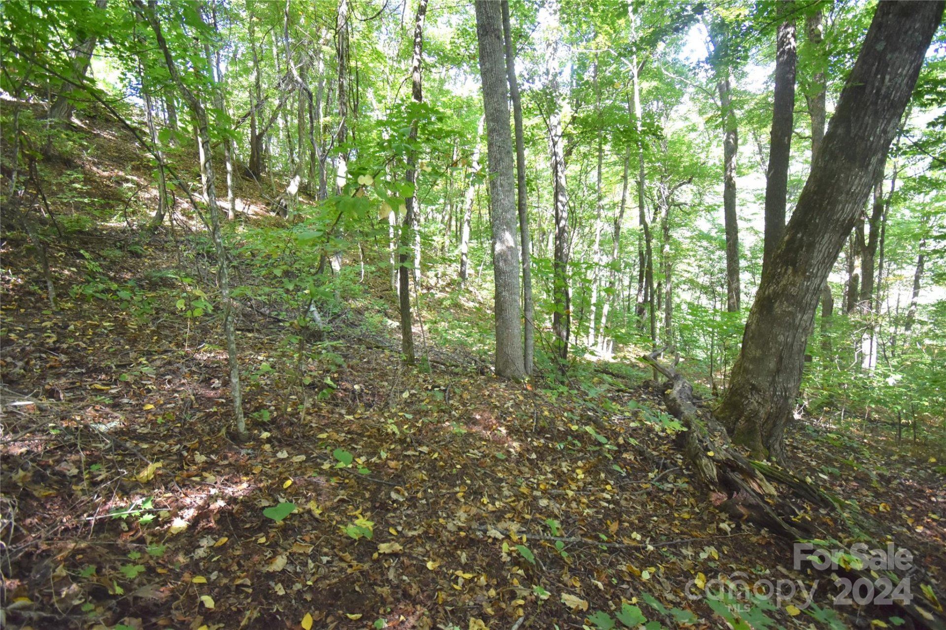 Property image 3 at 0 Chimney Ridge Trail, Waynesville, NC 28786