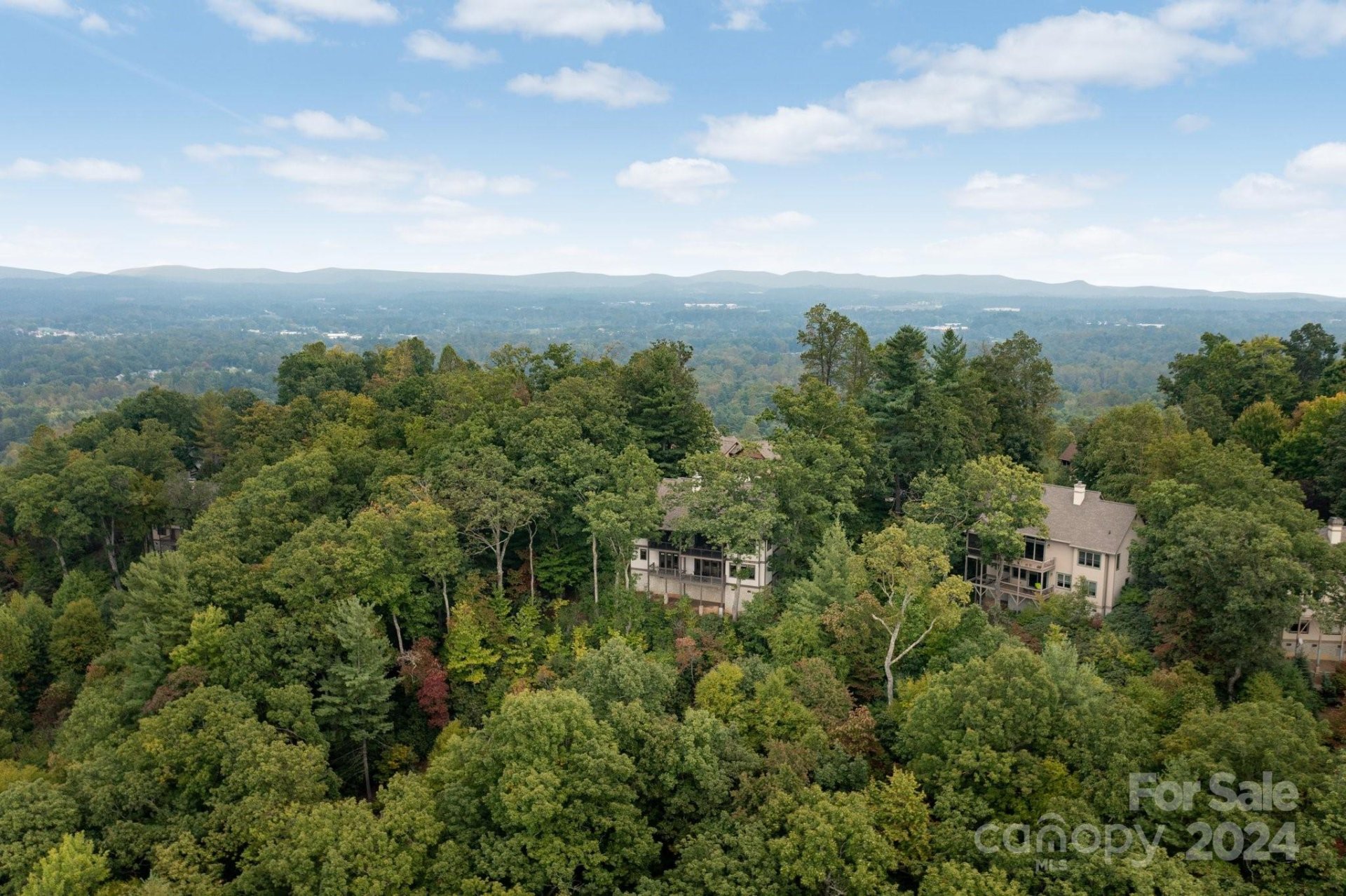Property image 3 at 19 W Bobcat Court, Hendersonville, NC 28739