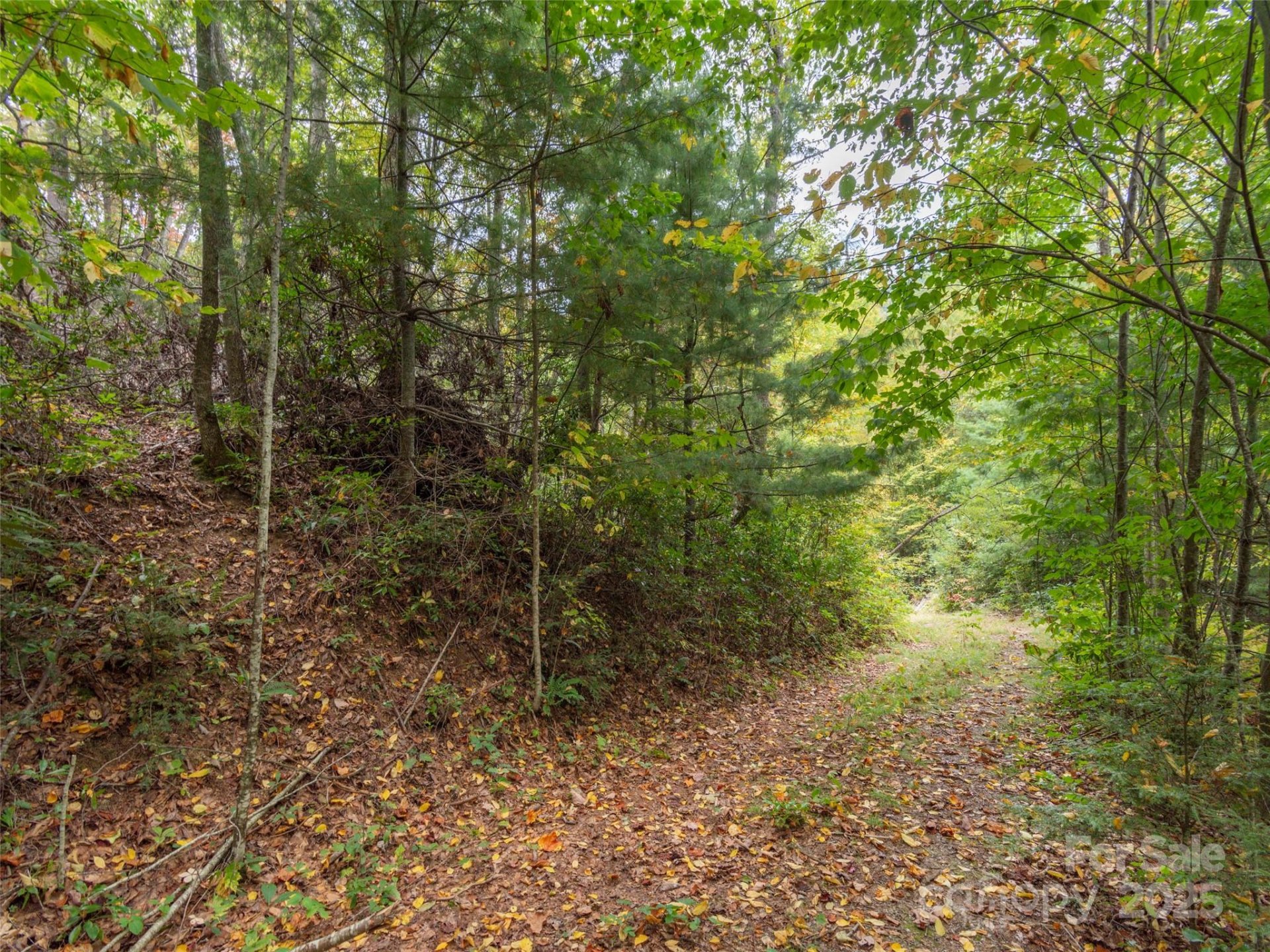 Property image 4 at 00 Keull Road, Waynesville, NC 28785