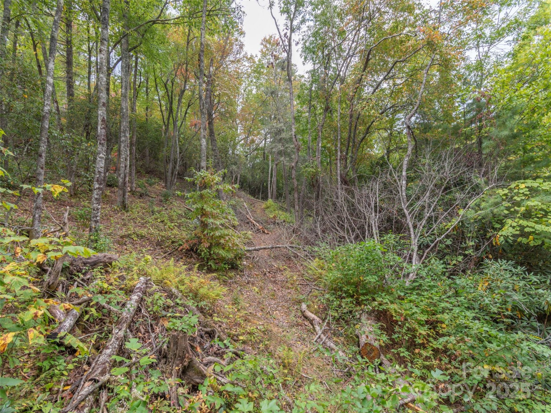 Property image 5 at 00 Keull Road, Waynesville, NC 28785