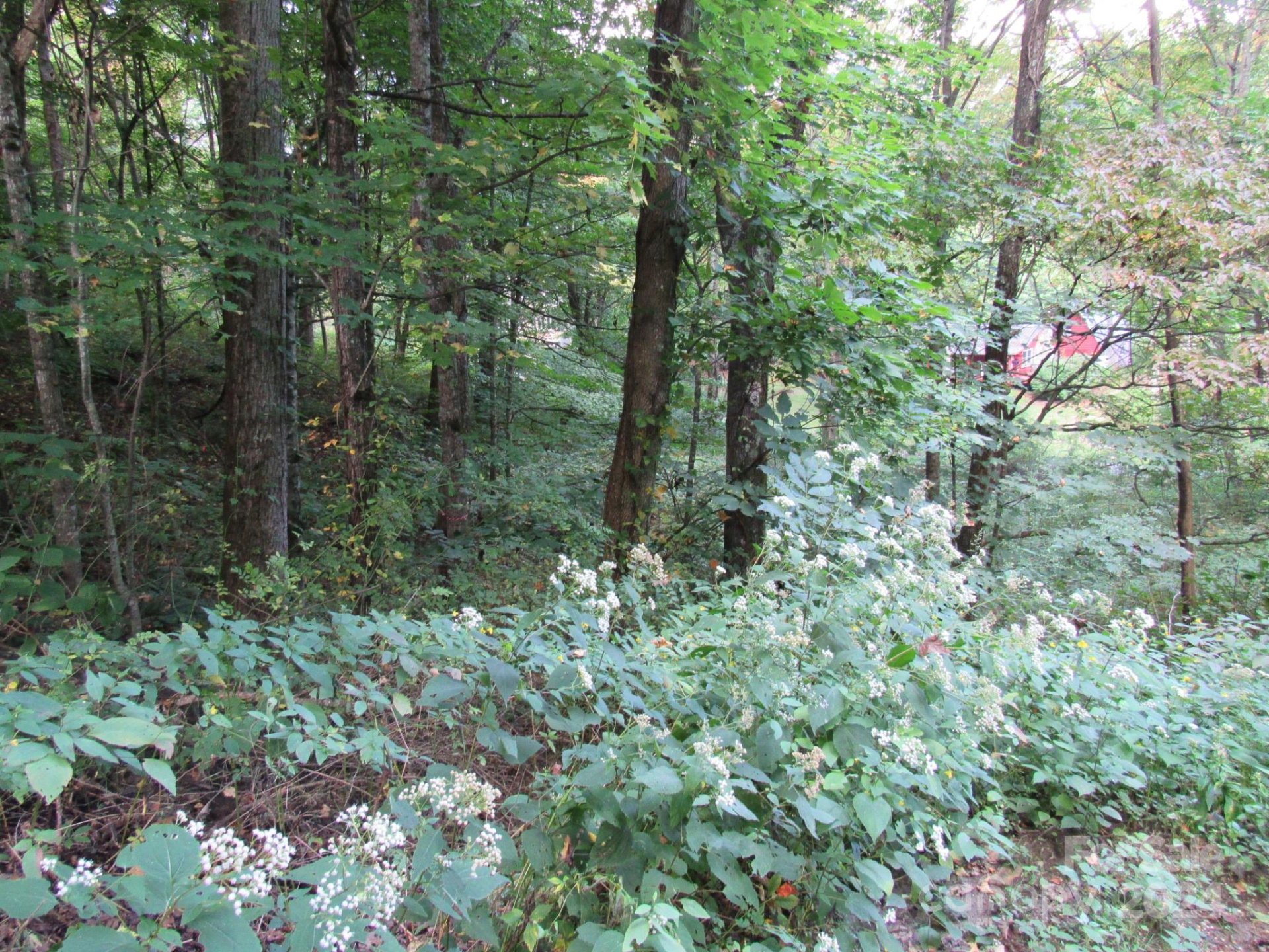 Property image 2 at Lot 211 B Apple Creek Road, Waynesville, NC 28786