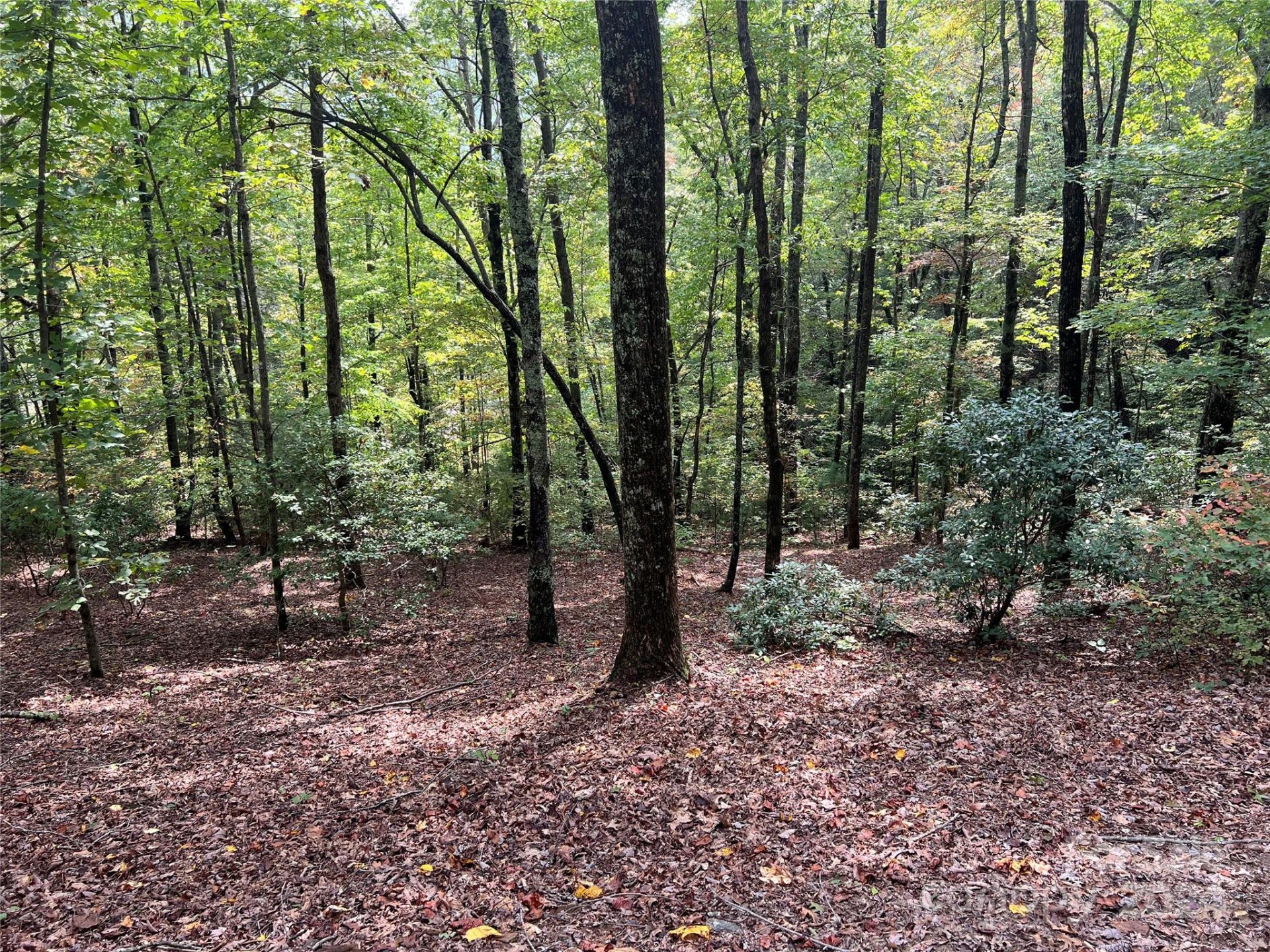 Property image 3 at 39 Black Bear Ridge Trail, Zirconia, NC 28790