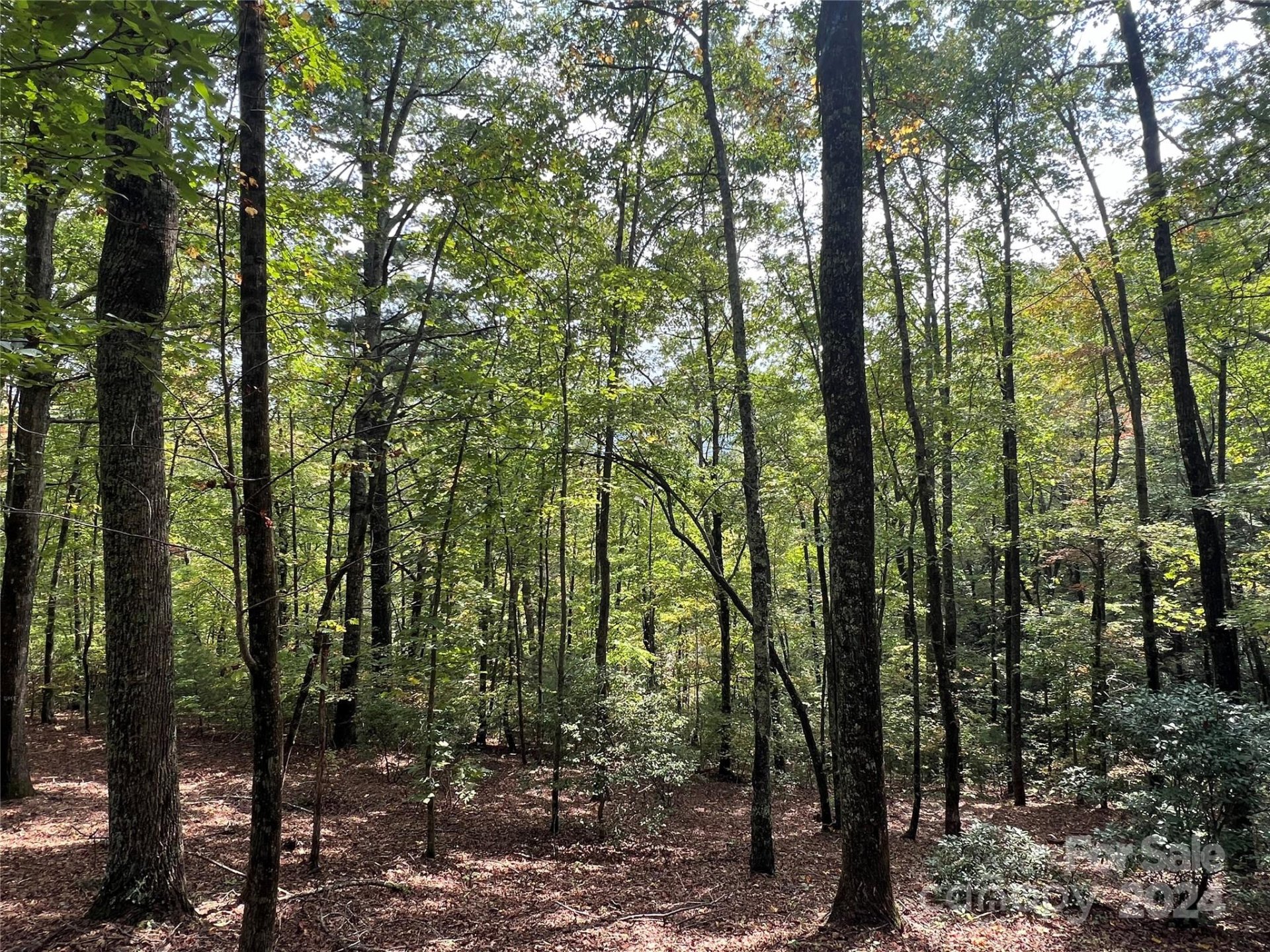 Property image 4 at 39 Black Bear Ridge Trail, Zirconia, NC 28790