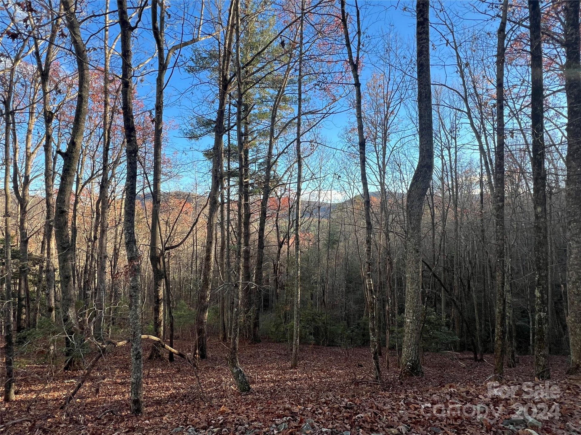Property image 5 at 39 Black Bear Ridge Trail, Zirconia, NC 28790