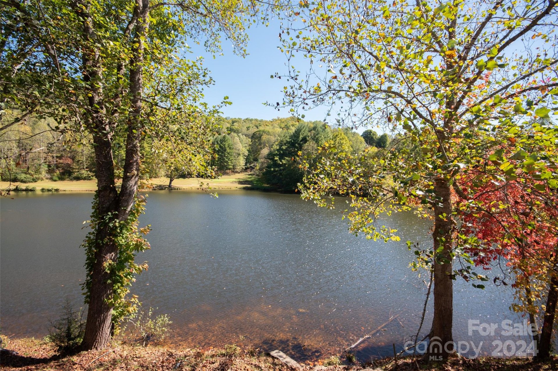 50b Mint Lake Court