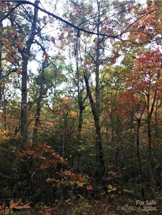 Property image 4 at Lot 26 Red Hawk Bluff, Sylva, NC 28779